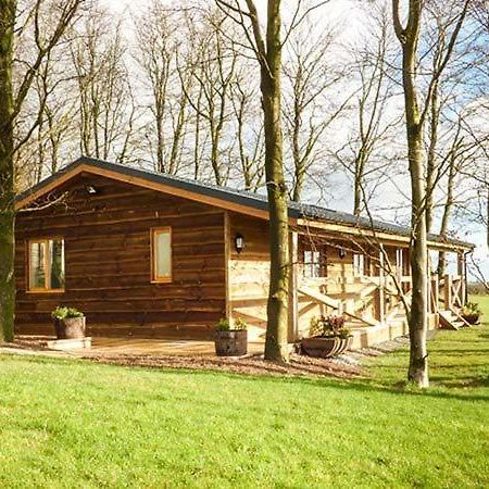 Valley View Lodge Trelystan Exterior photo